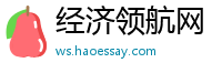 经济领航网